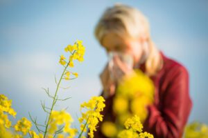hay fever and seasonal allergies