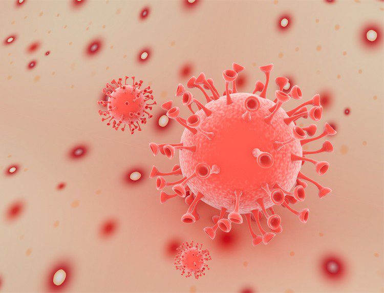 Everything to Know About Monkeypox | Broadgate GP