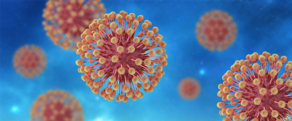Herpes Virus