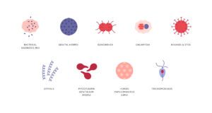 Effective Strategy for Preventing STIs