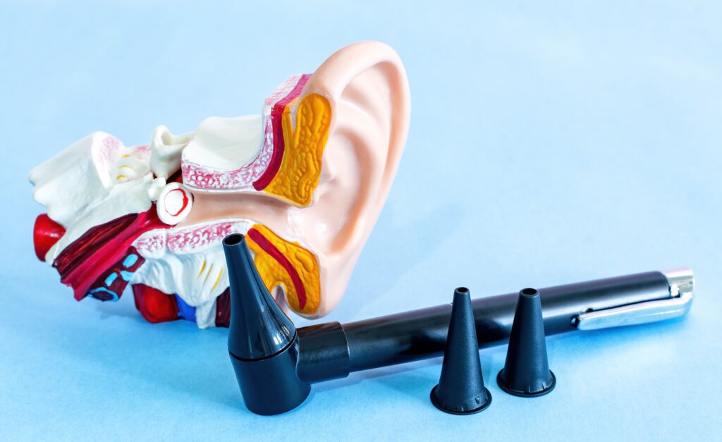 Closeup shot of an anatomical ear model with the otoscope on a light blue background