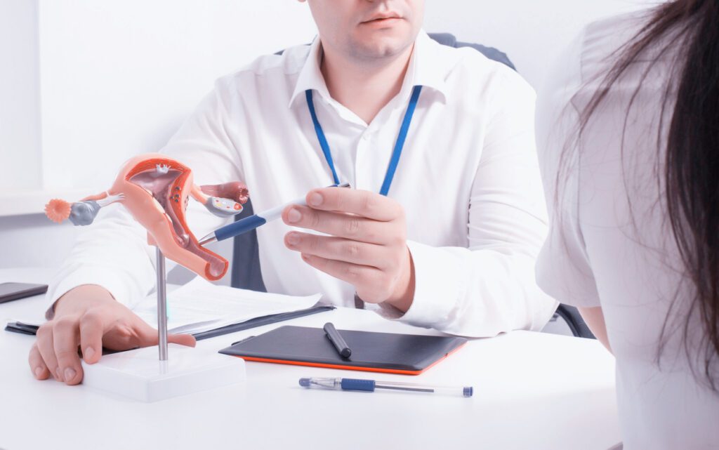 A gynecologist shows an organ pathology on a model of the female reproductive system. Sexual infection concept cytomegalovirus and papillomavirus