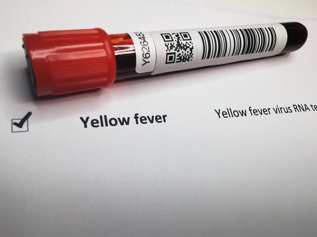 Yellow fever blood test