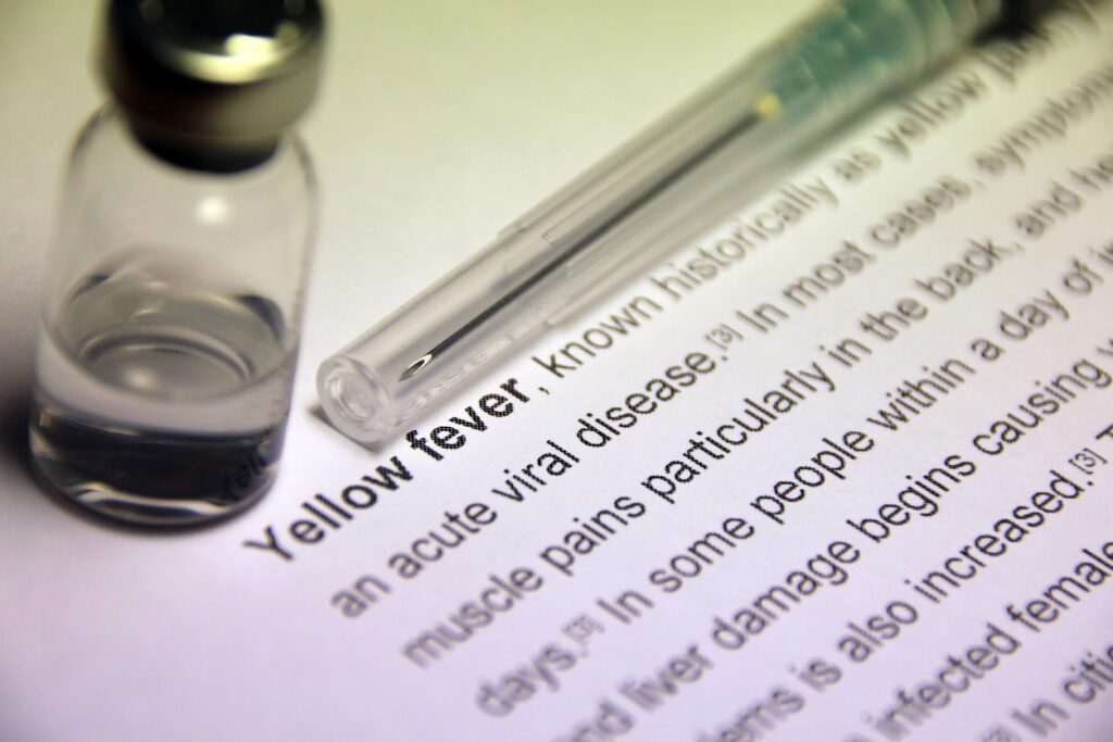 yellow fever information