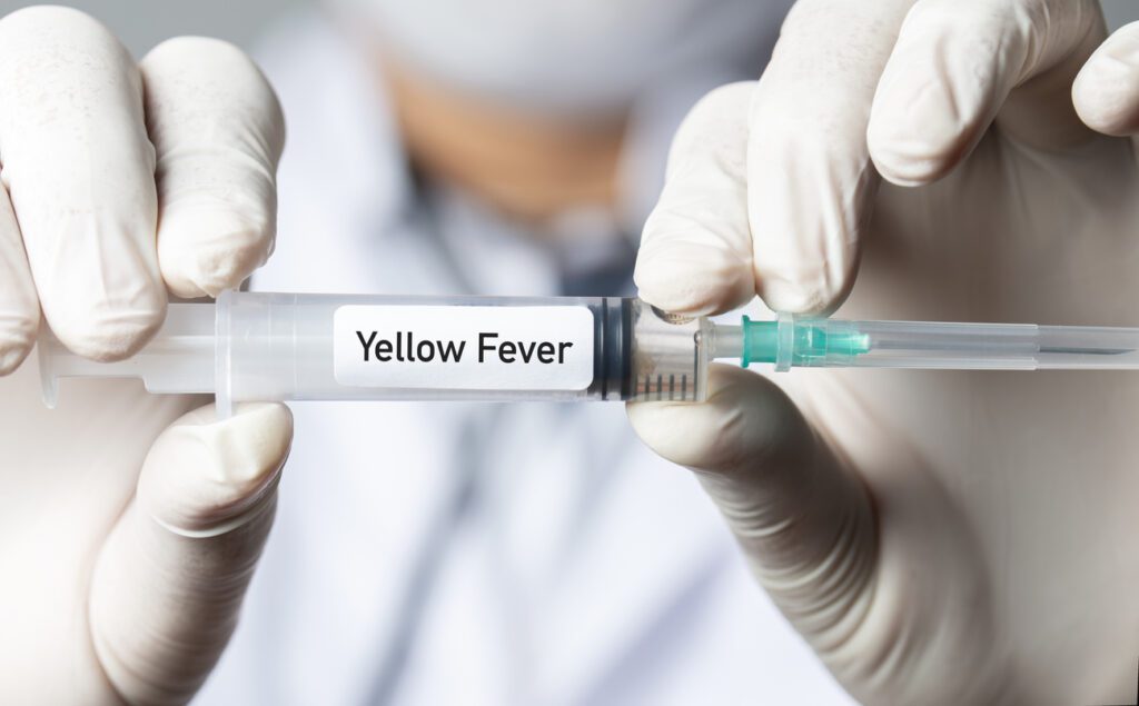 close up view of vaccine needle